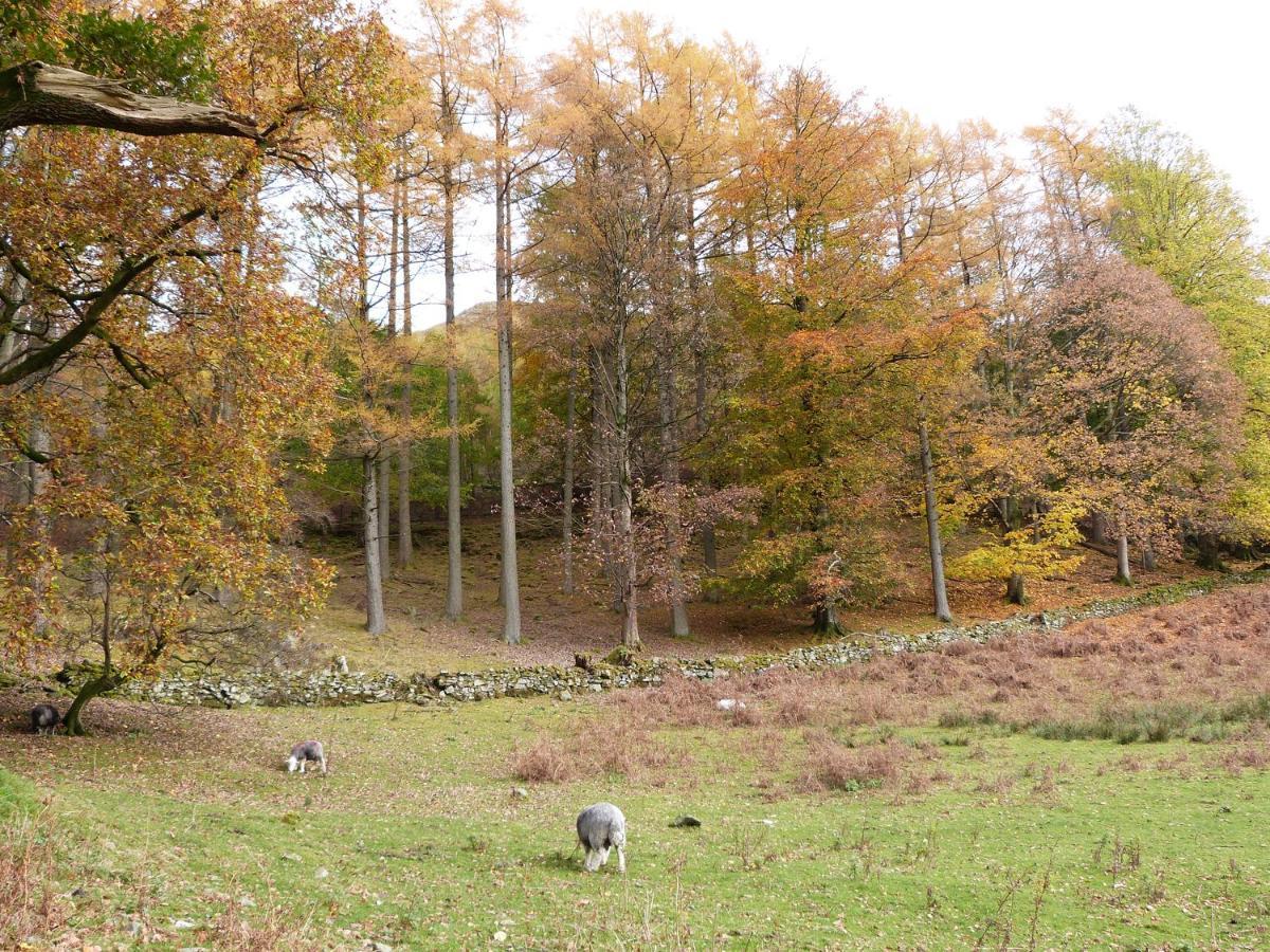 Cherry - Woodland Cottages Боунес-он-Уиндермер Экстерьер фото